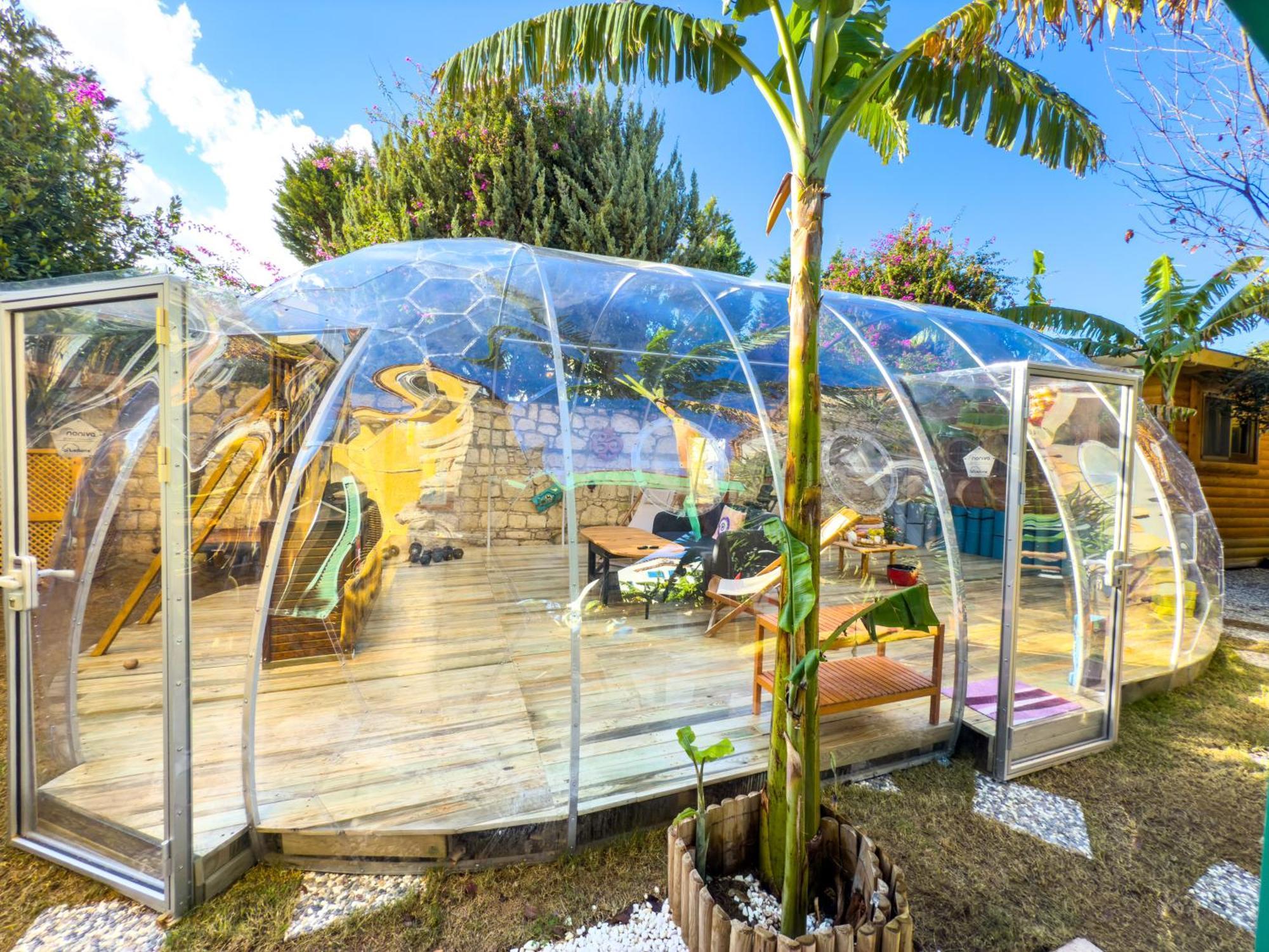 Hotel Banana Food & - Adults Only